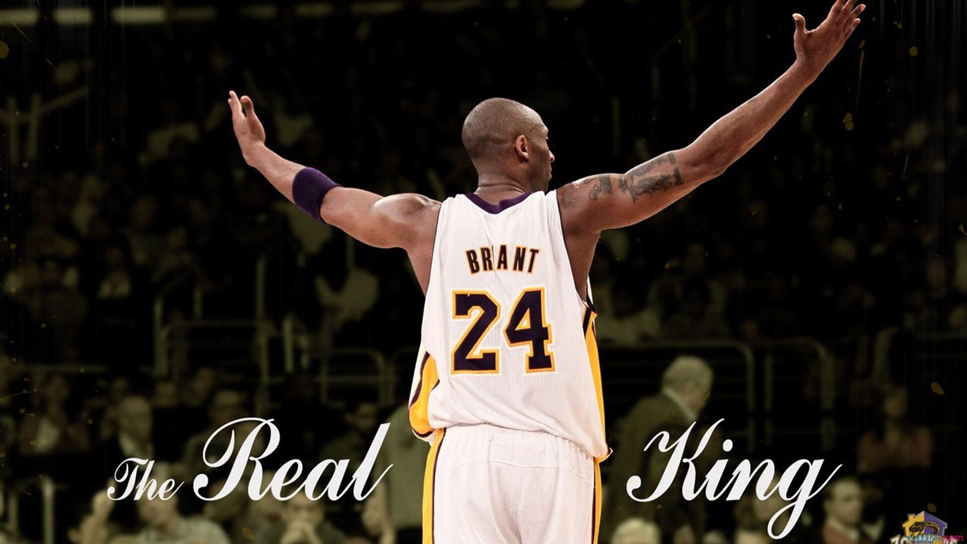 世界杯新周期：倡导国家队在比赛空窗组织更多公益活动 提升社会形象